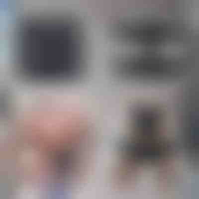 Trener za trbušne mišiće – Sagorijevajte masnoće bez napora | SIXPACK