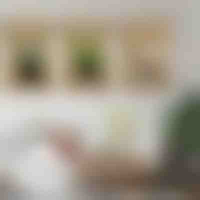 3D ukrasne naljepnice za zid (3 kom) | VASUART