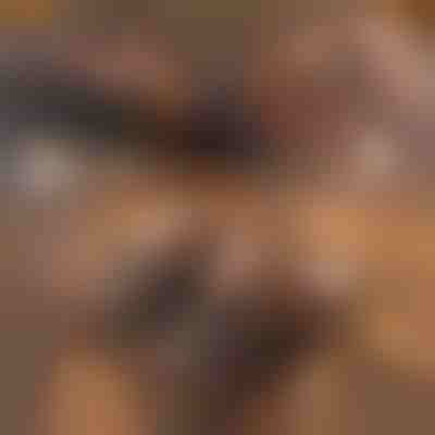 Meke termo papuče | NOBLEFEET