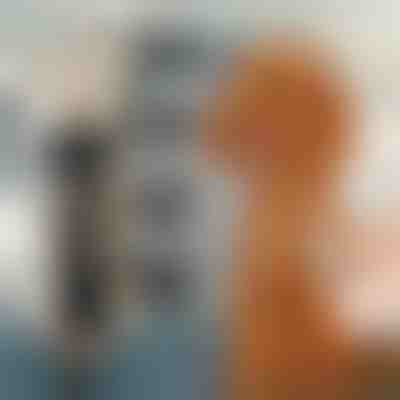 Set mašinice za šišanje kućnih ljubimaca | GULAMACHINE