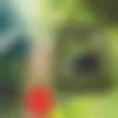 Prijenosni tuš | SHOWDY