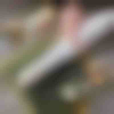 Jednostavan kućni sushi valjak | SUSHROLIO