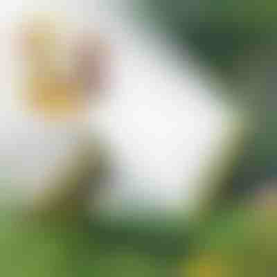 Prskalica s više glava | SPRAYMASTER