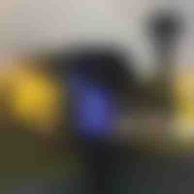 Vanjska lampa protiv komaraca (2 kom) | SOLARBUZZ